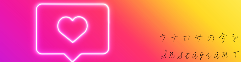 ウナロサの今をInstagramで